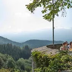Burg Altpernstein ホテル *