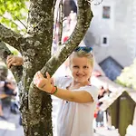 Burg Altpernstein Micheldorf in Oberösterreich