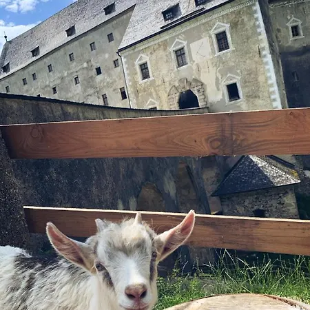 Hotel Burg Altpernstein