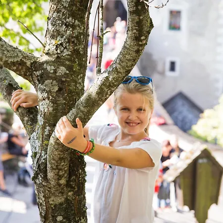 Burg Altpernstein Micheldorf in Oberösterreich