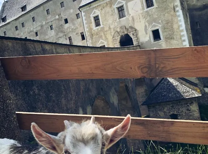 Отель Burg Altpernstein