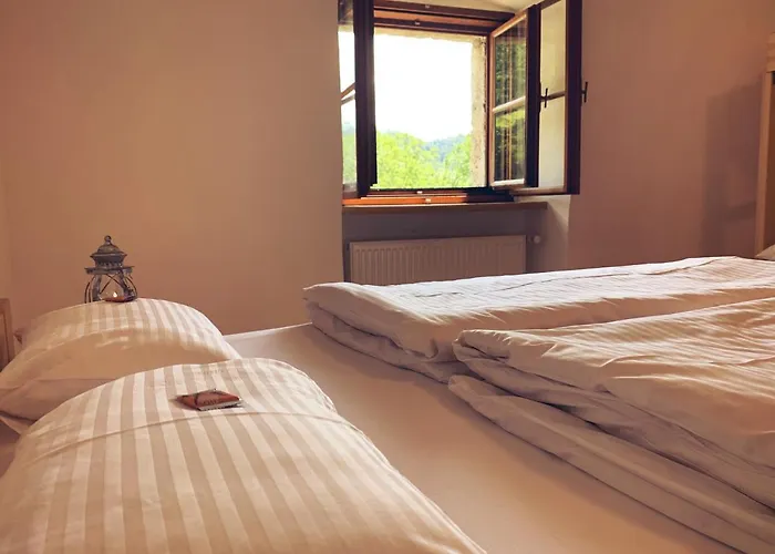 Ξενοδοχείο Burg Altpernstein