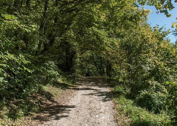 Burg Altpernstein Micheldorf in Oberösterreich