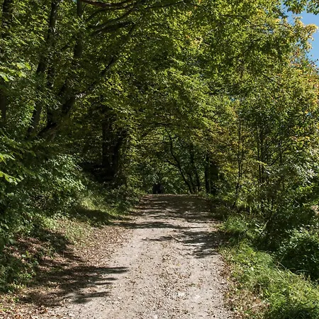 Burg Altpernstein Micheldorf in Oberösterreich